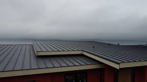 Best Roof Coating and Sealing  in Sebewaing, MI